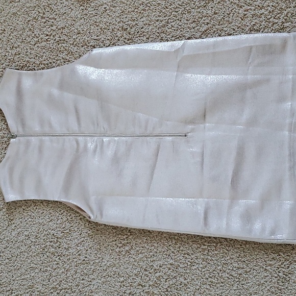 Forever 21 Sheath Shift Mini Dress Mod Retro Style Metallic Silver Cream - Picture 6 of 8